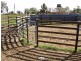 00 LALOKI STOCKINBINGAL, Young NSW 2594