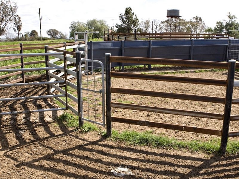 00 LALOKI STOCKINBINGAL, Young NSW 2594