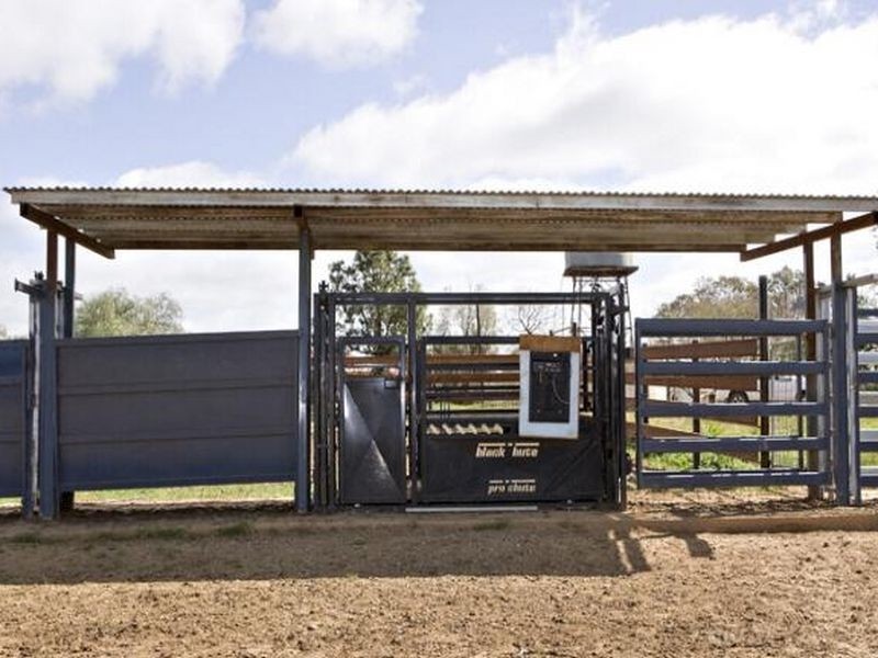 00 LALOKI STOCKINBINGAL, Young NSW 2594