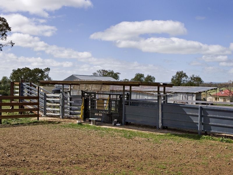 00 LALOKI STOCKINBINGAL, Young NSW 2594