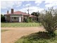 00 LALOKI STOCKINBINGAL, Young NSW 2594