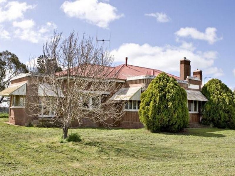 00 LALOKI STOCKINBINGAL, Young NSW 2594