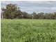 00 LALOKI STOCKINBINGAL, Young NSW 2594