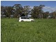 00 LALOKI STOCKINBINGAL, Young NSW 2594