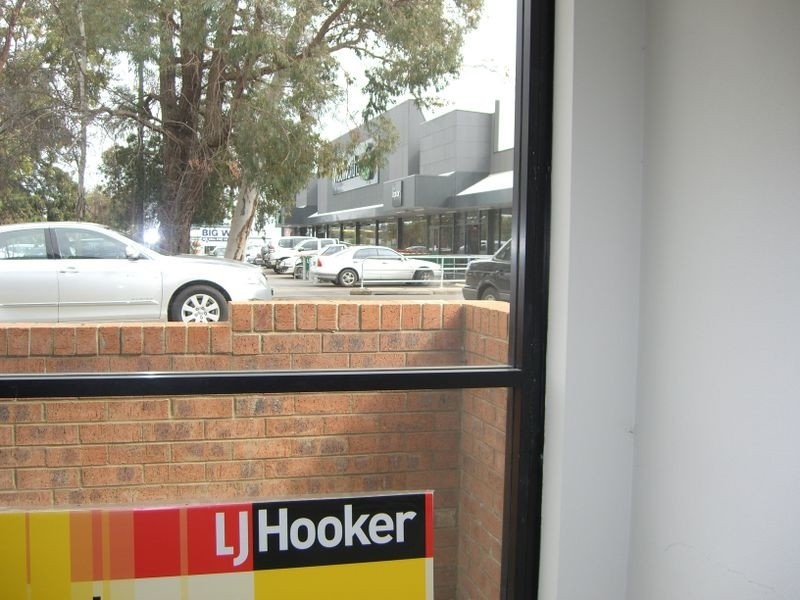 00 Lighting Lane, Young NSW 2594