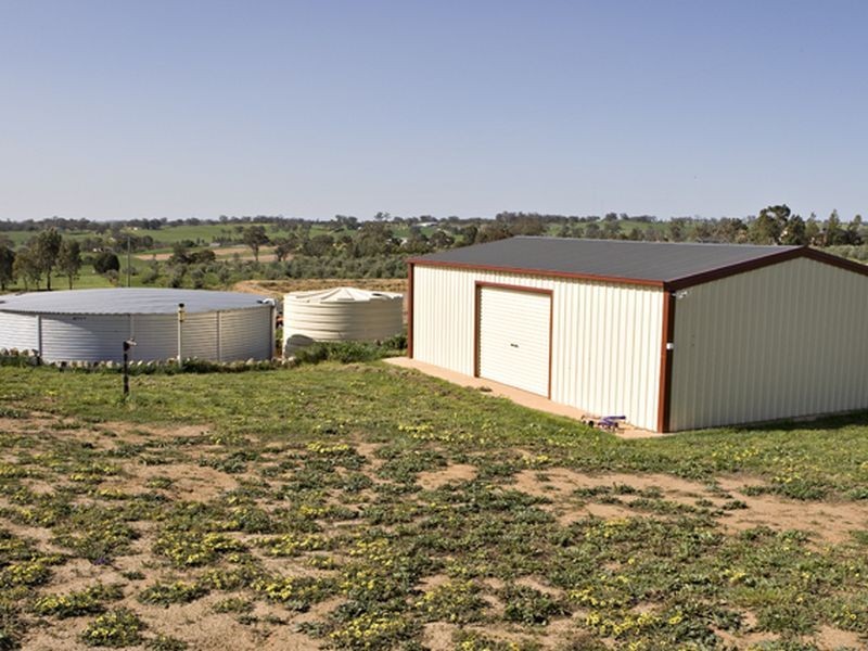 109 Kellys Road, Young NSW 2594