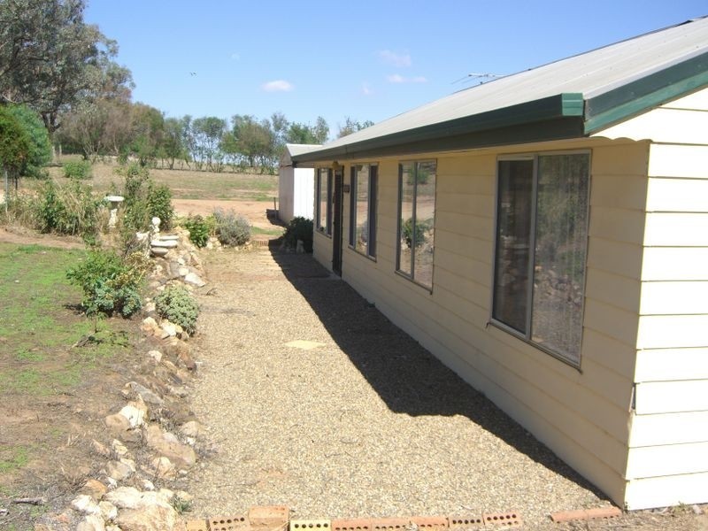 89 Berkley’s Road, Young NSW 2594