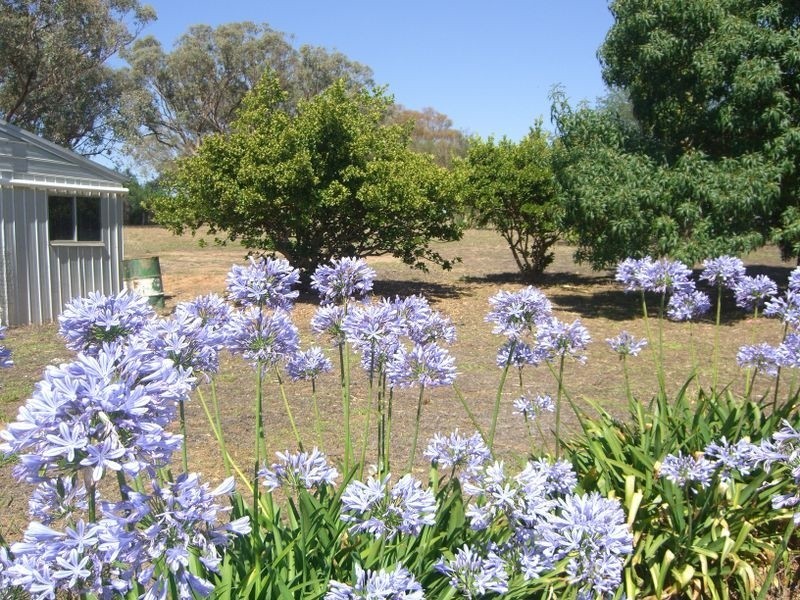 89 Berkley’s Road, Young NSW 2594