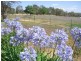 89 Berkley’s Road, Young NSW 2594
