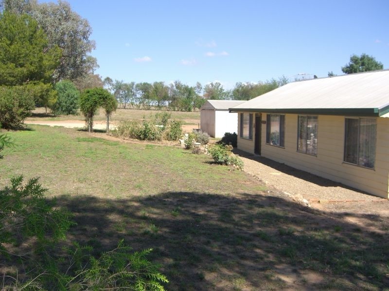 89 Berkley’s Road, Young NSW 2594