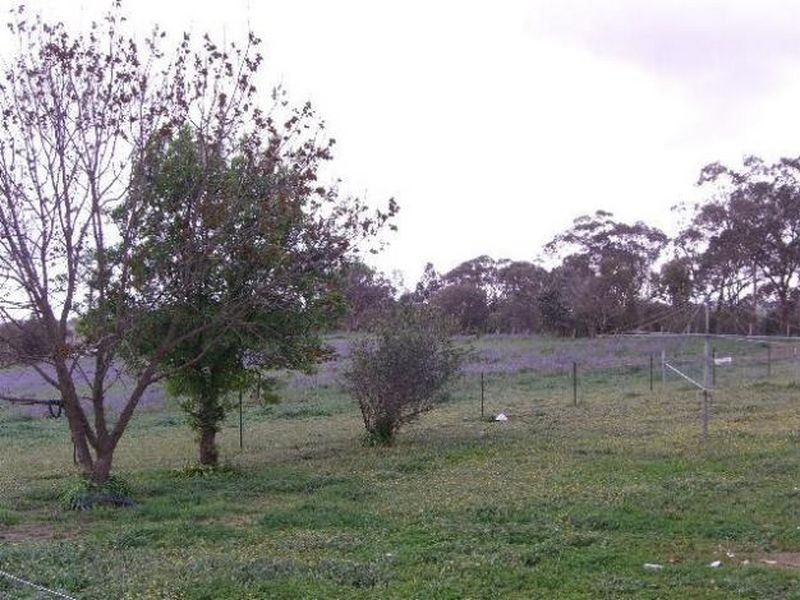 89 Berkley’s Road, Young NSW 2594