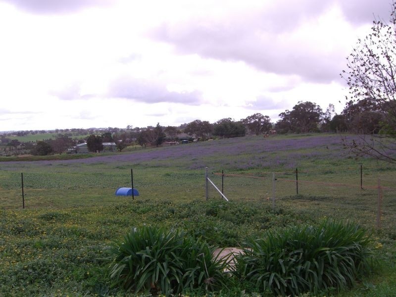 89 Berkley’s Road, Young NSW 2594