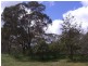 89 Berkley’s Road, Young NSW 2594