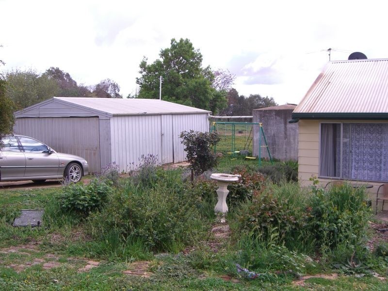 89 Berkley’s Road, Young NSW 2594