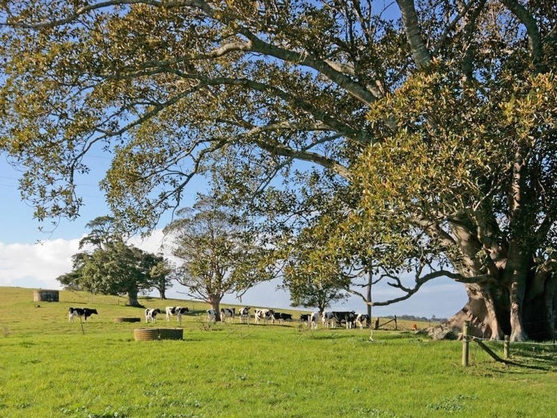 Croobyar F 46 Ringland Lane, Milton NSW 2538