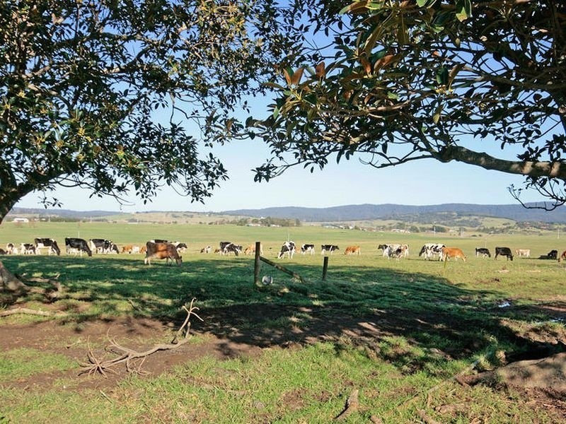 Croobyar F 46 Ringland Lane, Milton NSW 2538