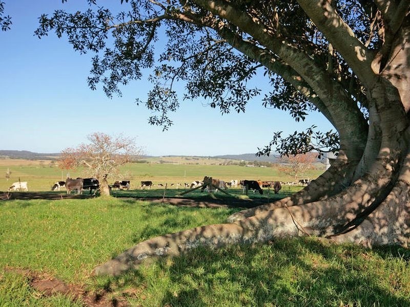 Croobyar F 46 Ringland Lane, Milton NSW 2538