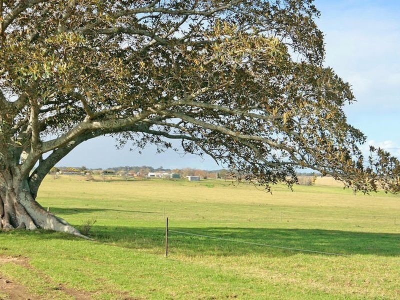 Croobyar F 46 Ringland Lane, Milton NSW 2538