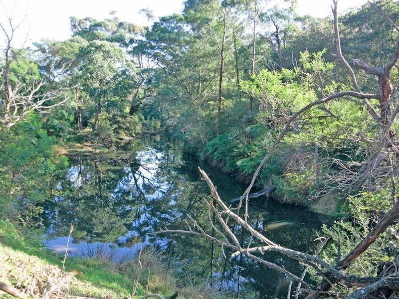 Croobyar F 46 Ringland Lane, Milton NSW 2538