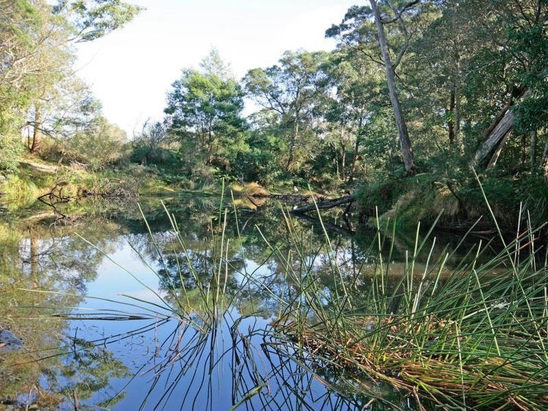 Croobyar F 46 Ringland Lane, Milton NSW 2538