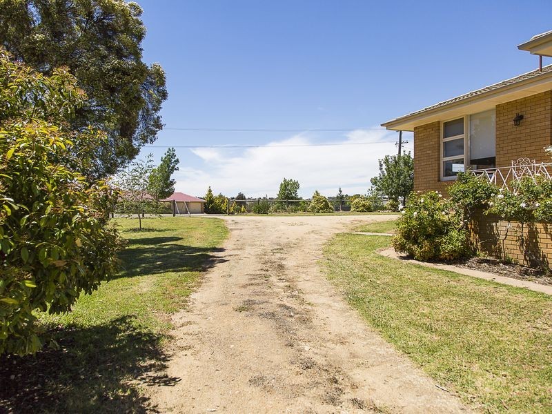 53 Hills Street, Young NSW 2594
