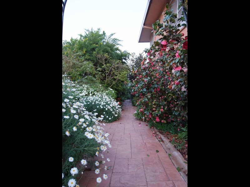 11 White Street, Young NSW 2594