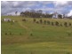 3654 Murringo Road, Young NSW 2594