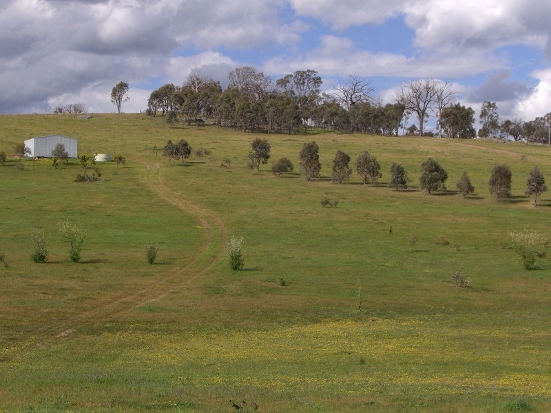 3654 Murringo Road, Young NSW 2594