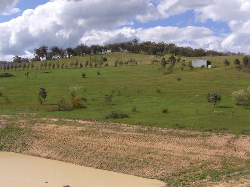 3654 Murringo Road, Young NSW 2594
