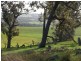 3654 Murringo Road, Young NSW 2594