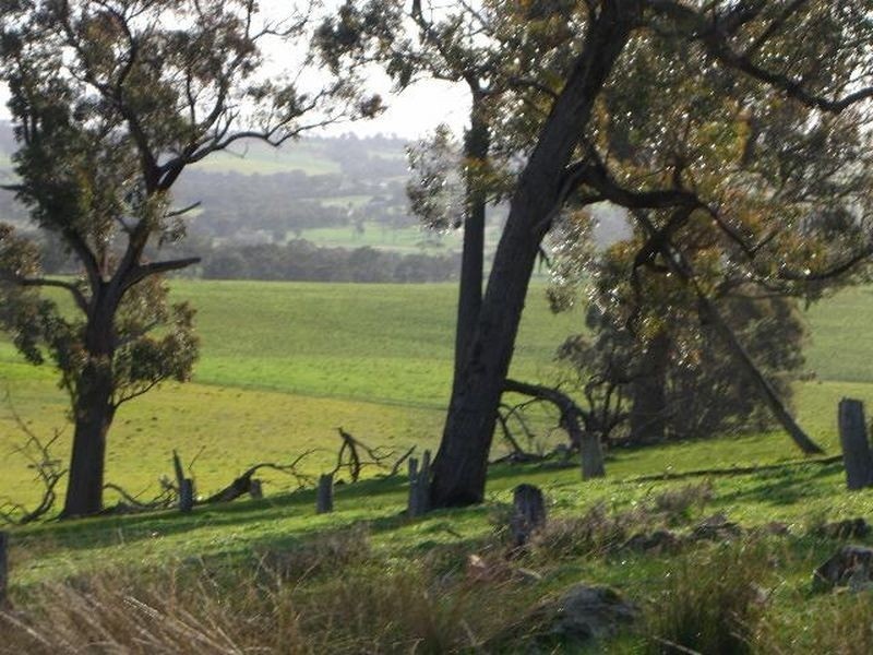 3654 Murringo Road, Young NSW 2594