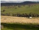 3654 Murringo Road, Young NSW 2594