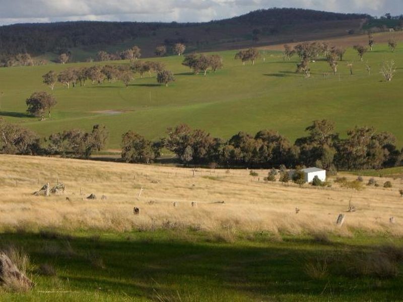 3654 Murringo Road, Young NSW 2594