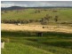 3654 Murringo Road, Young NSW 2594