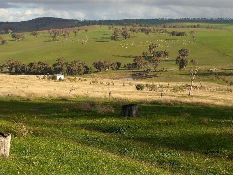 3654 Murringo Road, Young NSW 2594