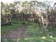 3654 Murringo Road, Young NSW 2594