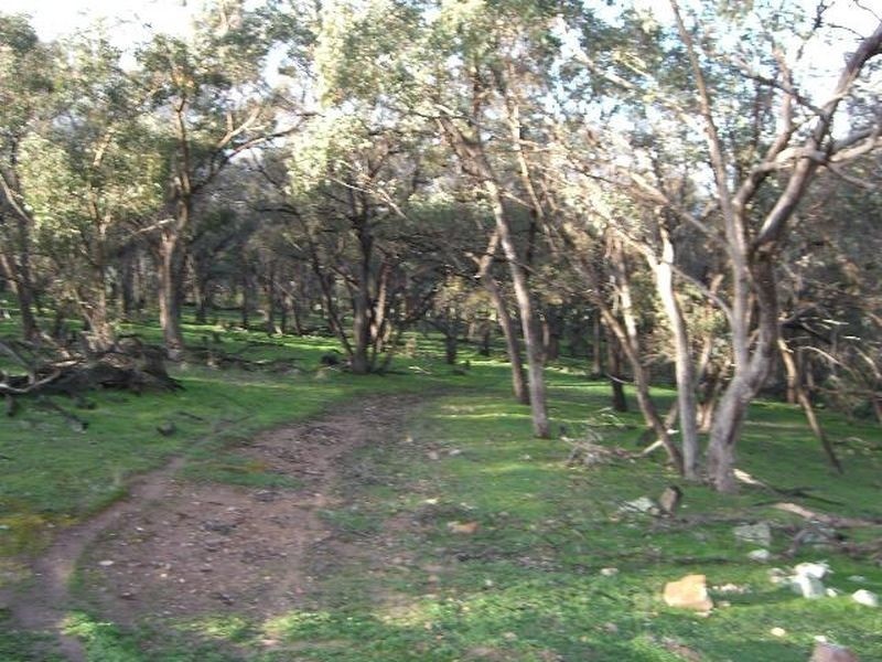3654 Murringo Road, Young NSW 2594