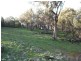 3654 Murringo Road, Young NSW 2594