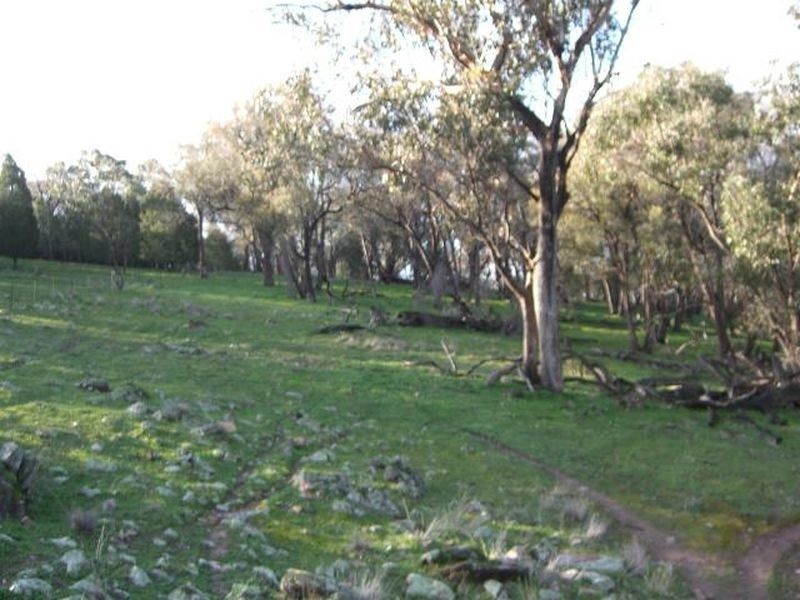 3654 Murringo Road, Young NSW 2594