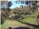 3654 Murringo Road, Young NSW 2594