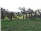 3654 Murringo Road, Young NSW 2594