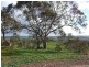 3654 Murringo Road, Young NSW 2594
