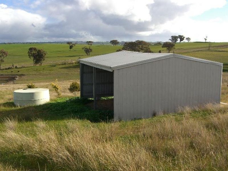 3654 Murringo Road, Young NSW 2594
