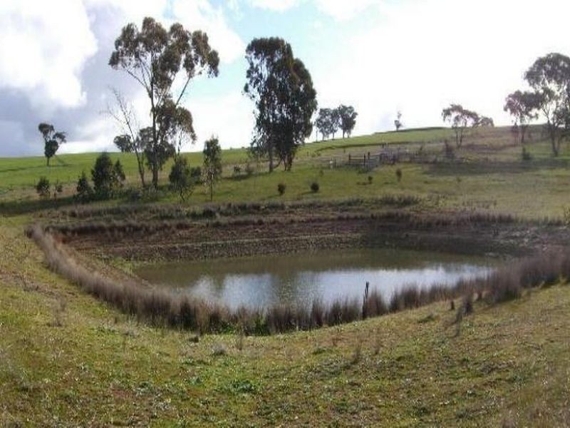 3654 Murringo Road, Young NSW 2594