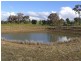 3654 Murringo Road, Young NSW 2594
