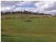 3654 Murringo Road, Young NSW 2594
