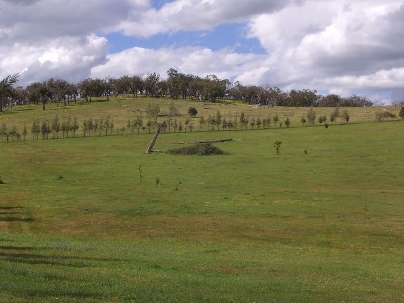 3654 Murringo Road, Young NSW 2594