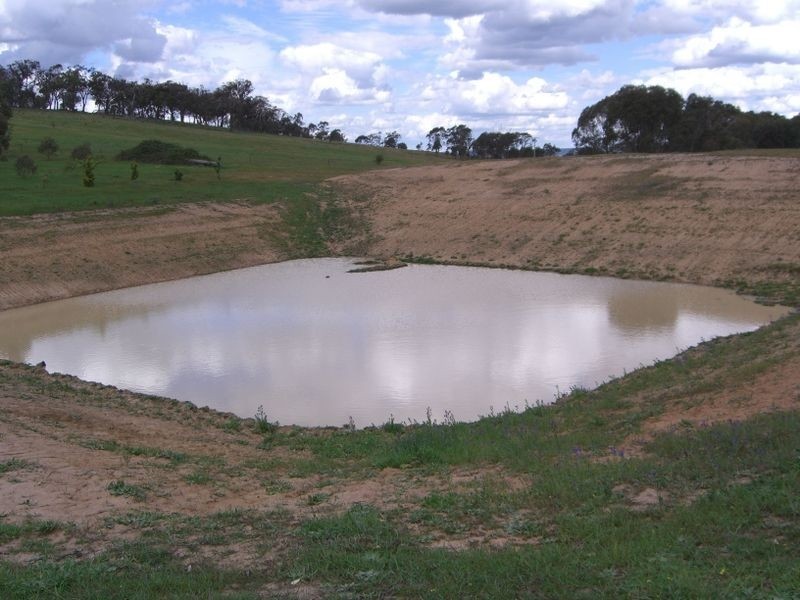 3654 Murringo Road, Young NSW 2594