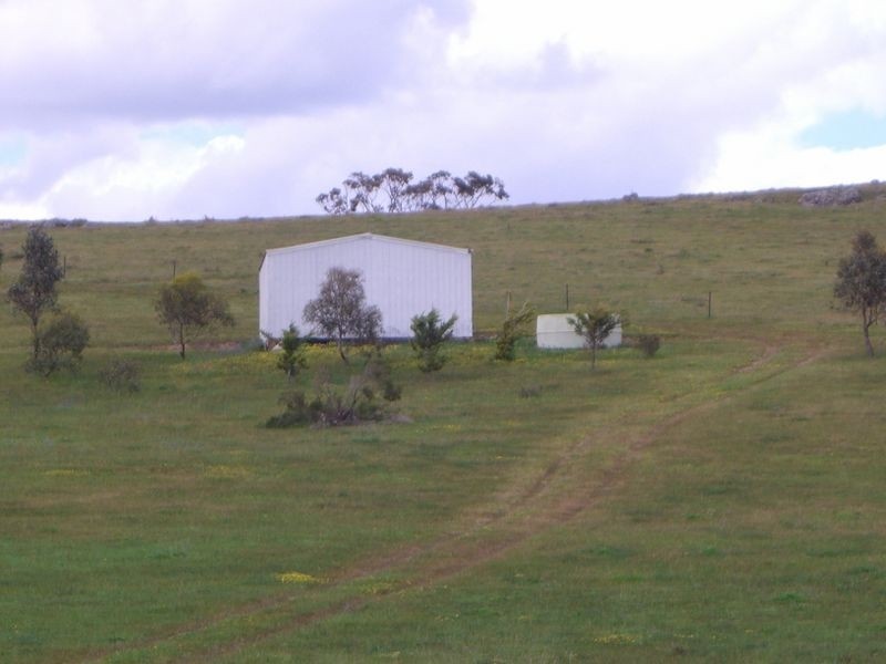 3654 Murringo Road, Young NSW 2594