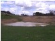3654 Murringo Road, Young NSW 2594